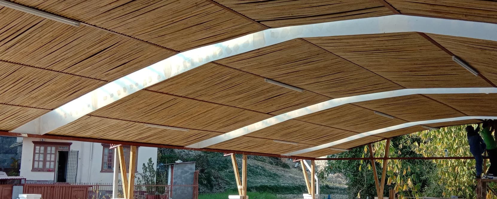 Green Bamboo Creation